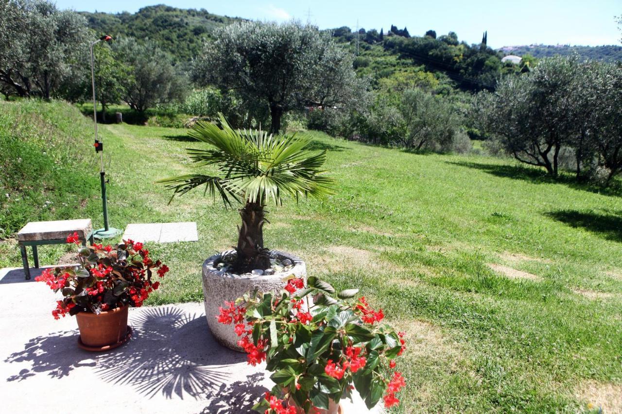 Classy Apartment With Garden View Laura Portoroz Luaran gambar